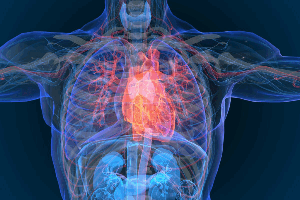 What Is H E A R T Failure Explained