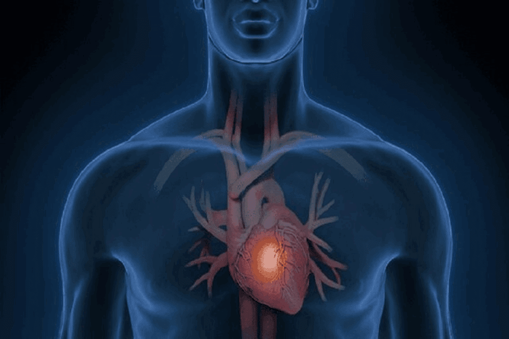 image 19863 LIV Hospital