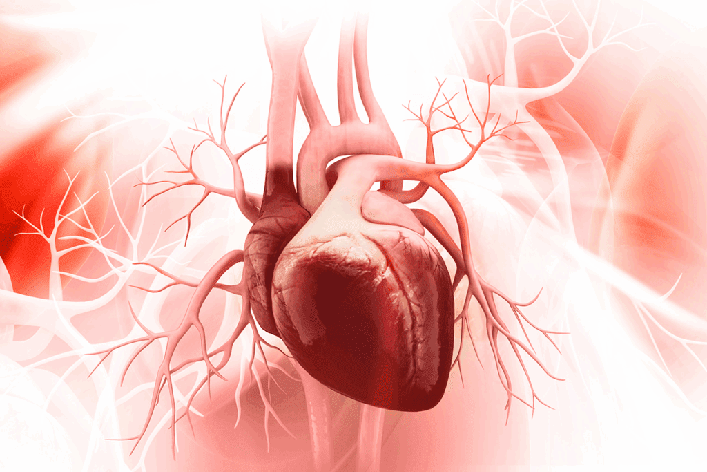 What Are the 4 Silent Signs of a Heart Attack