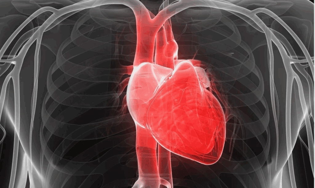 Cardiomyopathy vs CHF: 7 Key Differences