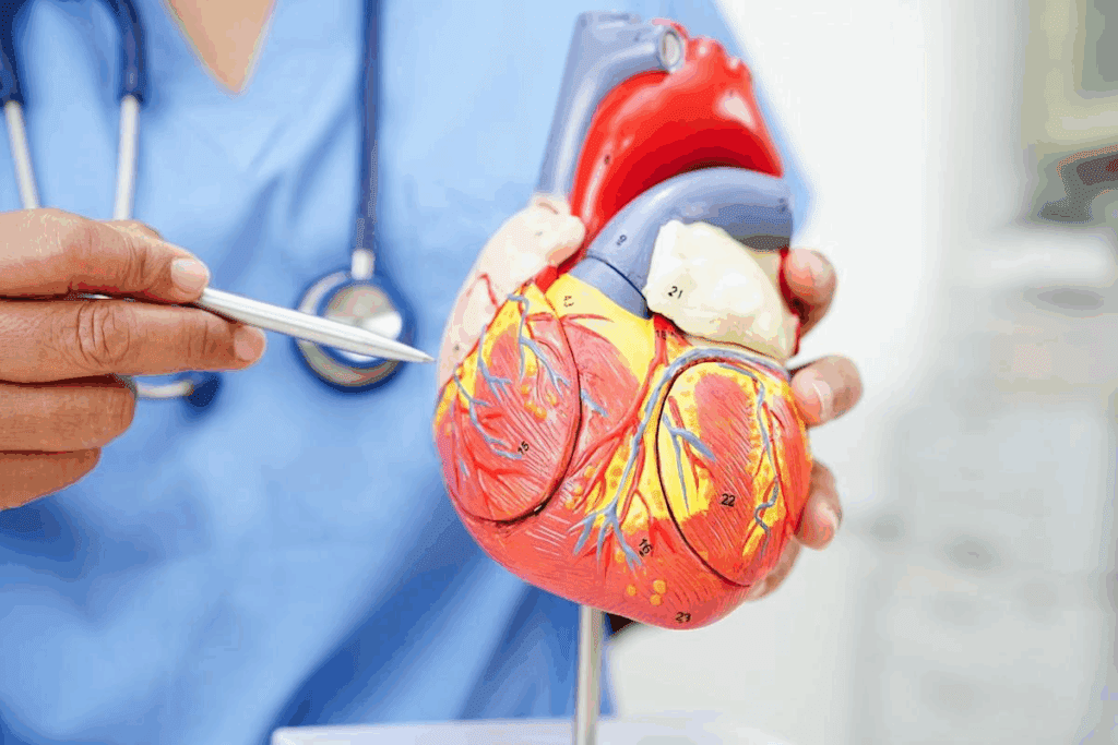 Enlarged Heart Symptoms: Signs and Treatment