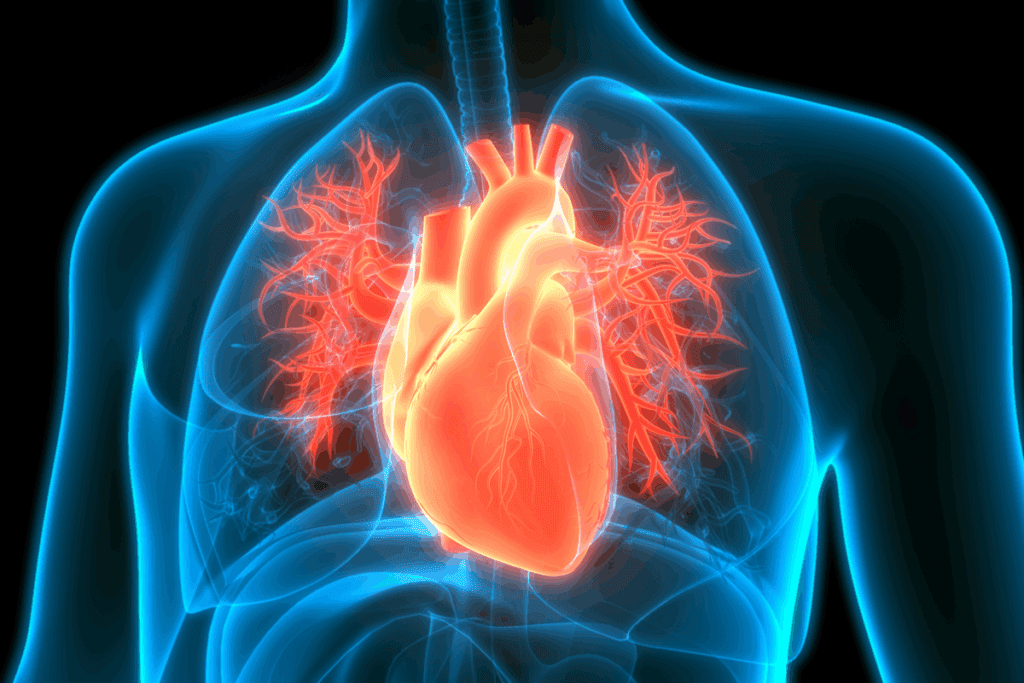 Cardiomyopathy Diseases: Full Guide