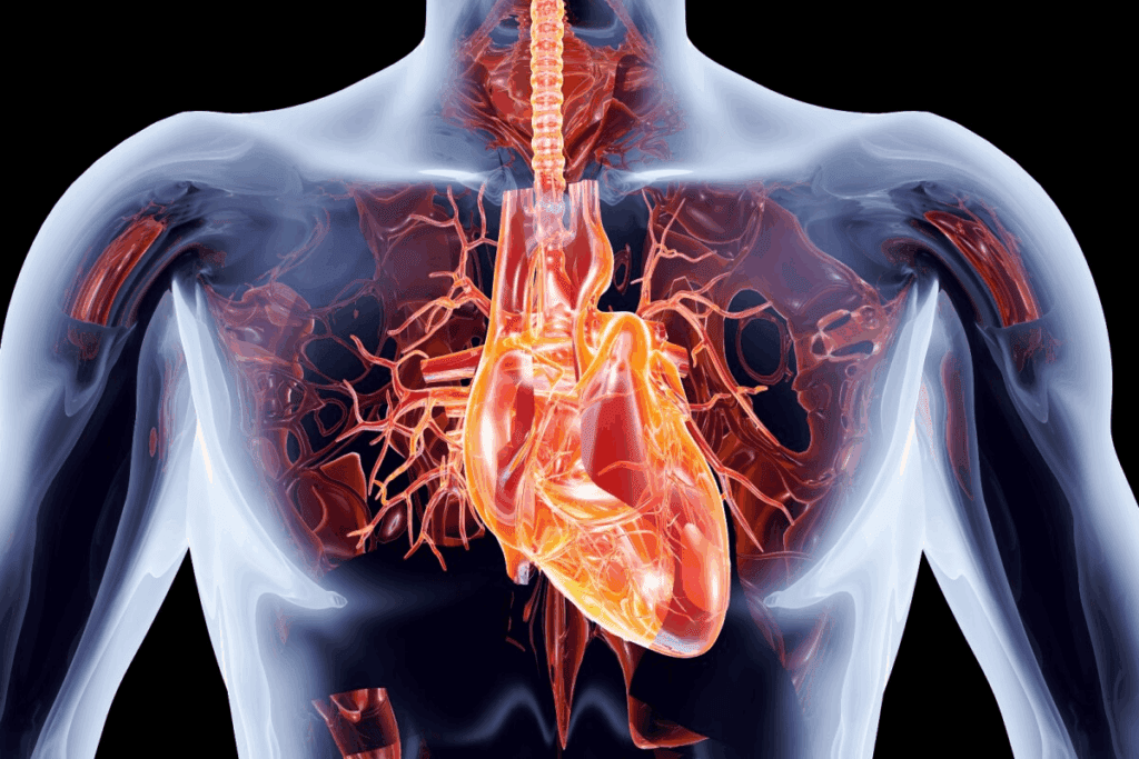 Class 1 Antiarrhythmics: 7 Key Facts 2 Class 1 Antiarrhythmics: 7 Key Facts