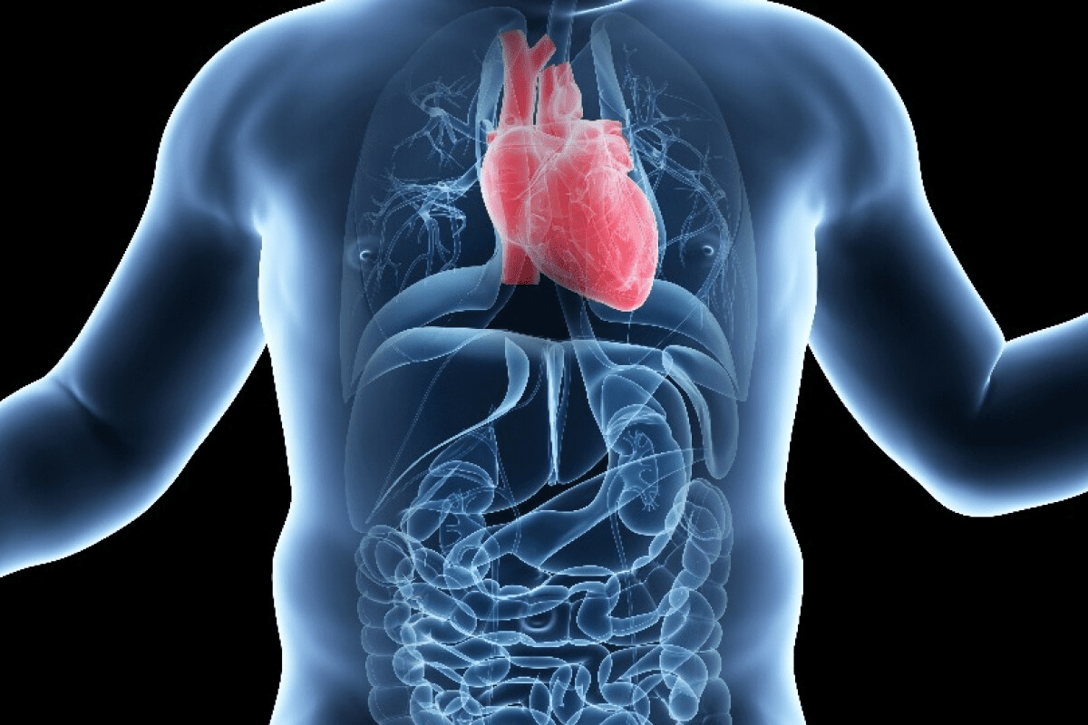Cardiac Congenital Defects Overview