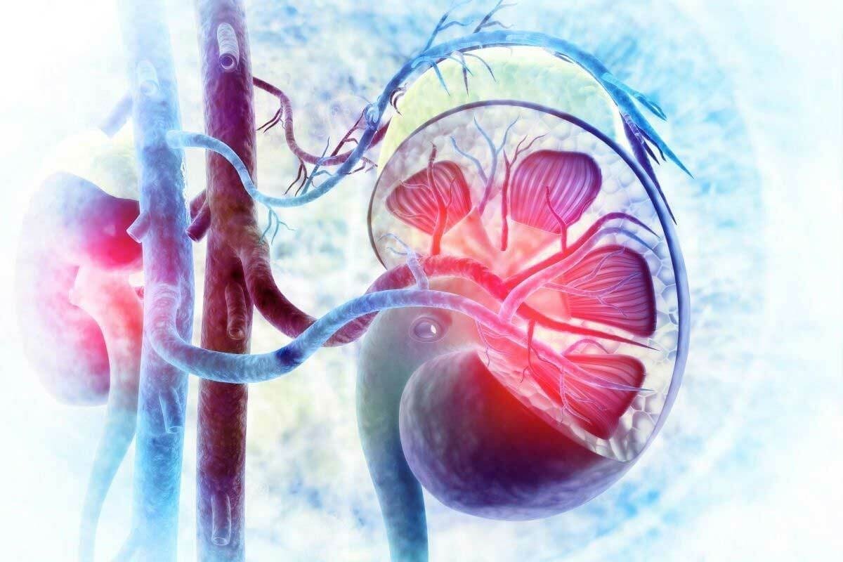Renal Scan Side Effects: Risks & Safety Facts