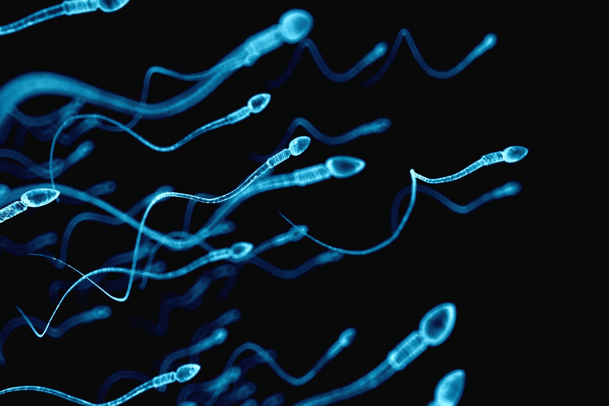 What Does It Mean When Your Sperm Is Clear?