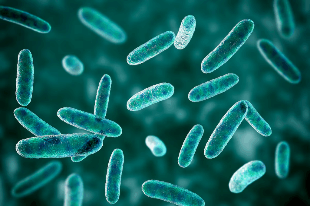 Oropharyngeal Cancer Survival Rate