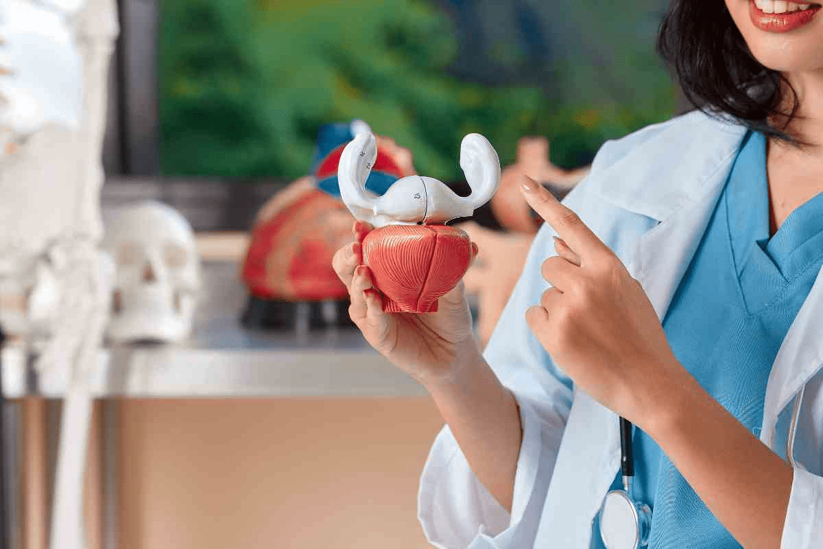 Cells in the Bladder: What Is Bladder Cancer?