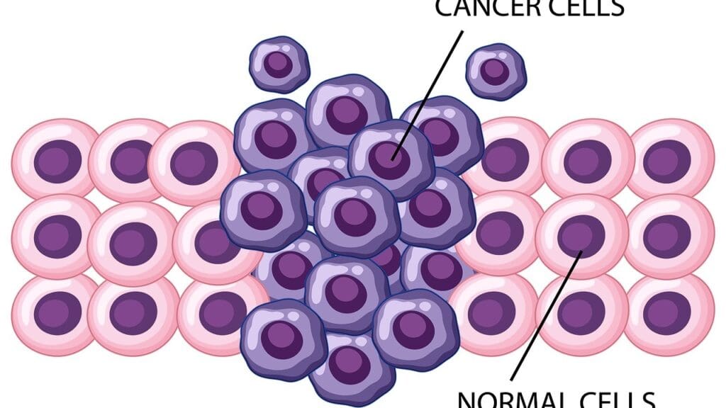 image 2552 LIV Hospital