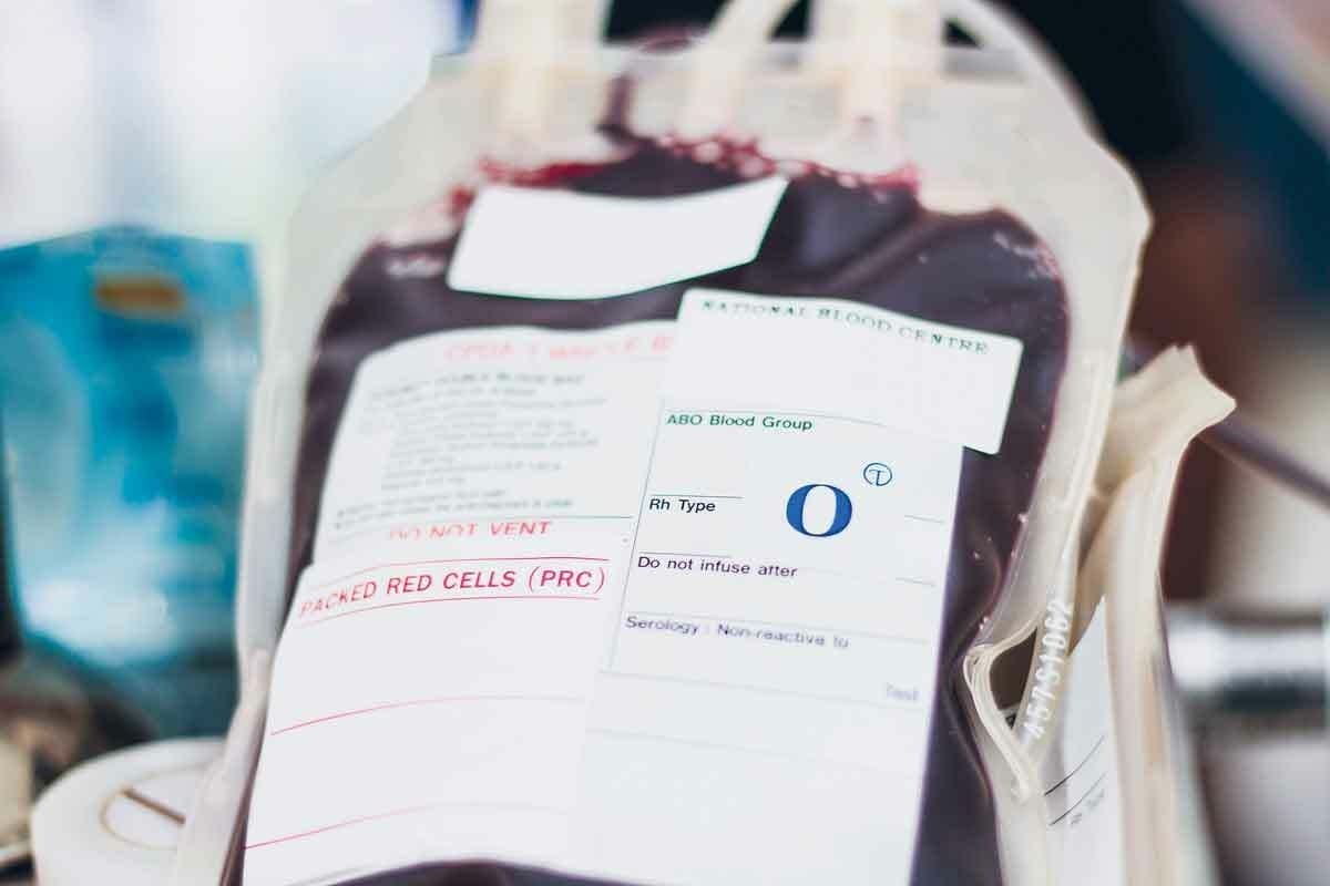 What Is the Most Common Blood Type and Why Is O Positive So Significant?