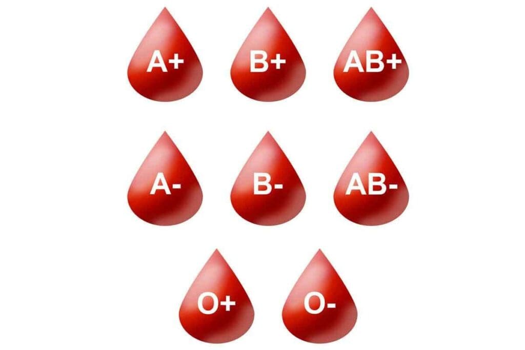 What Is the Most Common Blood Type and Why Is O Positive So Significant?