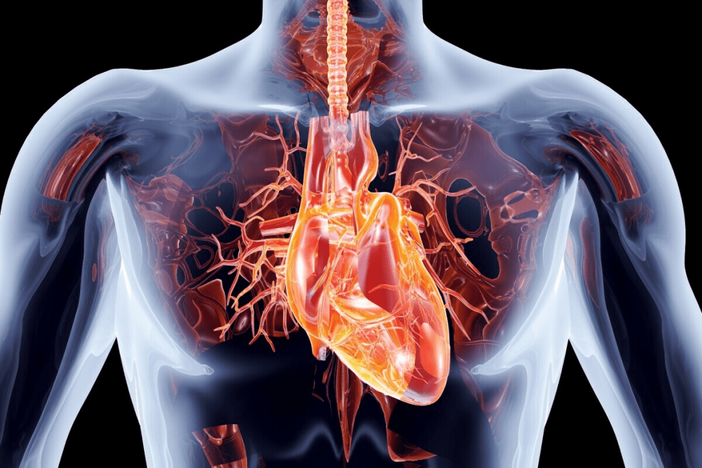 How Long Till After Emegona Tumor? Crucial Facts