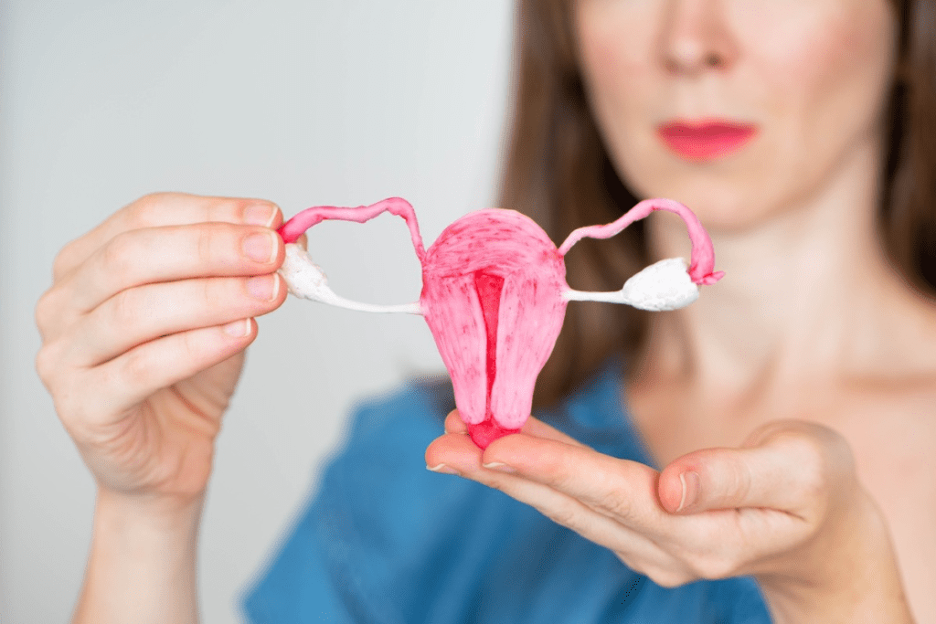 Tubal Tubal Reversal: Can You Truly Get Your Tubes Untied?