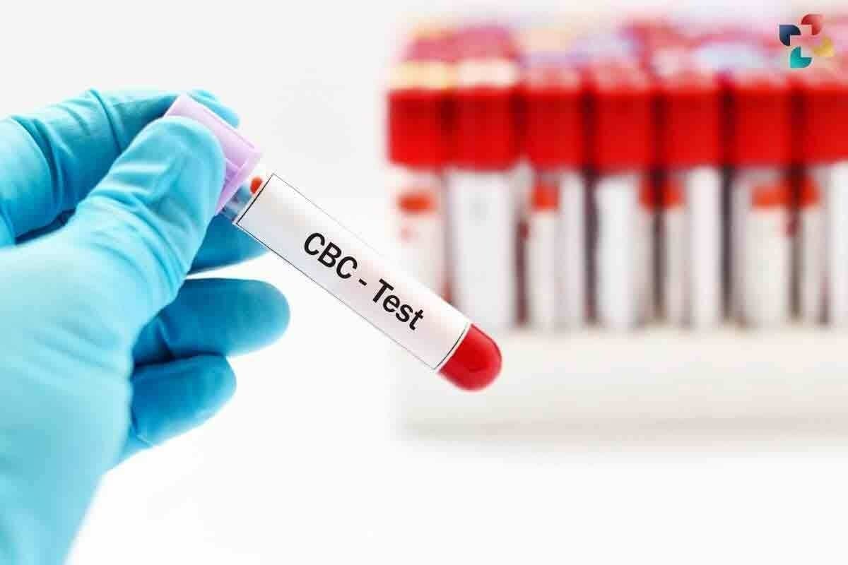 What Does Hemoglobin Do in the Body and Why Is It Important?