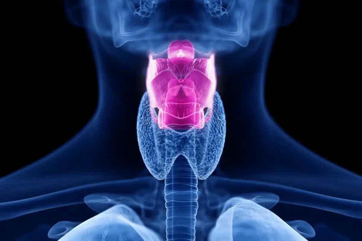 Thyroid CT With Contrast: 7 Essential Facts You Must Know