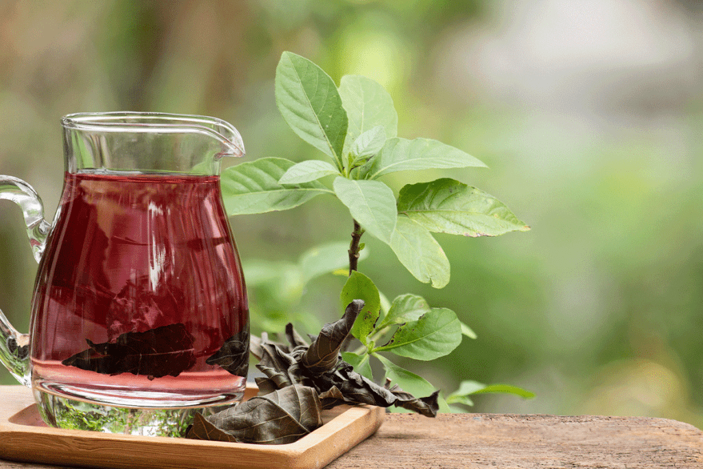 Myth vs. Fact: Do leukemia cures and natural treatments Really Work?