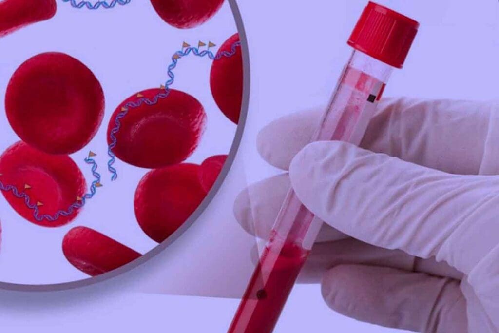 What Are the 3 Types of Blood Cancer: Key Facts, Prognosis & Survival Rates 1 What Are the 3 Types of Blood Cancer: Key Facts, Prognosis & Survival Rates