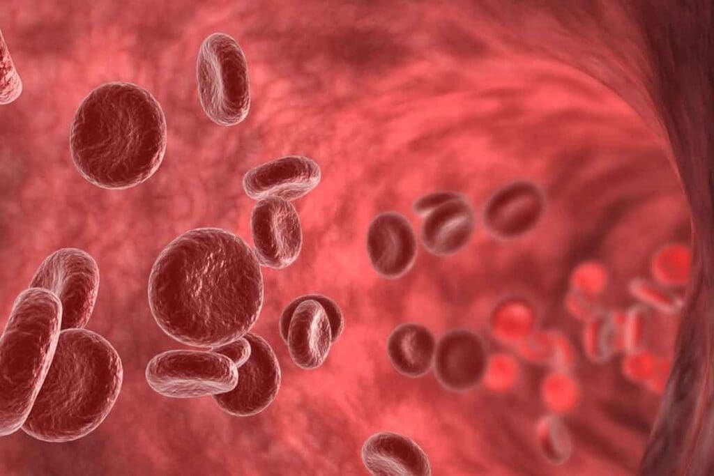 image 4454 LIV Hospital