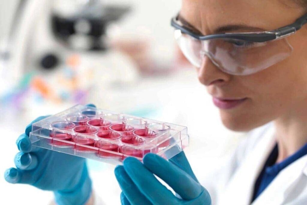 What Is Cell Transplantation and How Does It Help in Cancer Treatment?