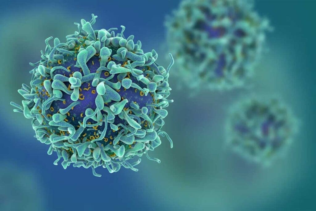 Variety of Cancer: 50+ Types of Cancer Explained in a Comprehensive List