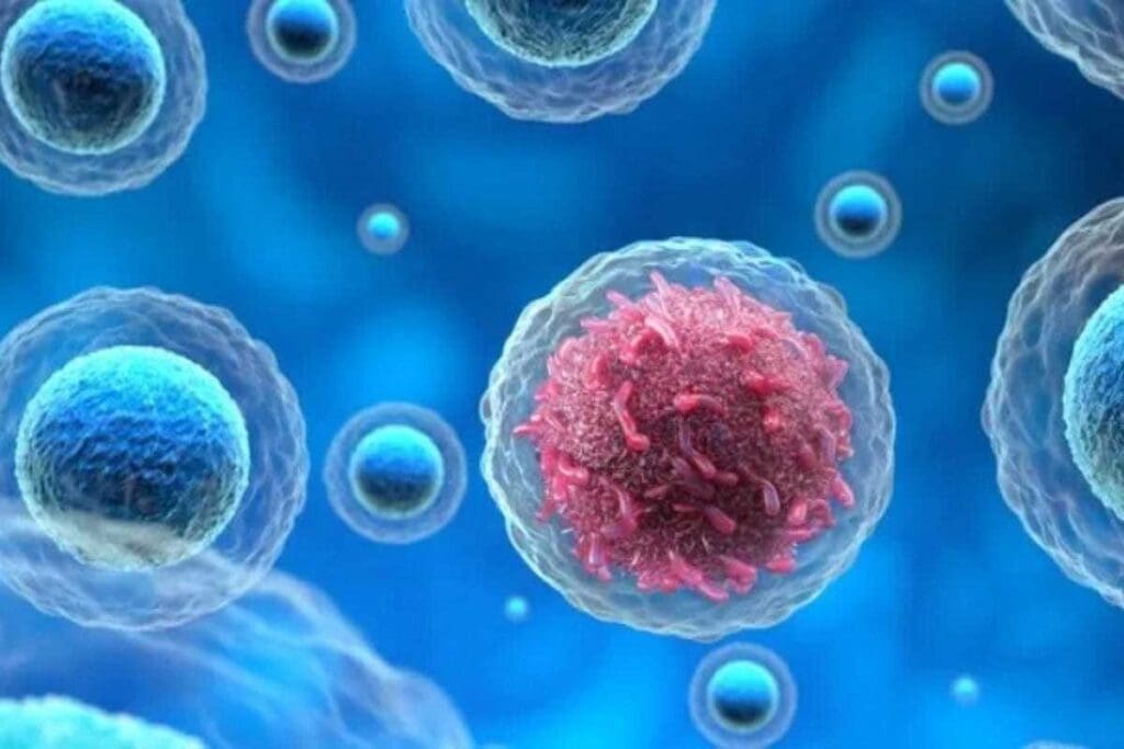 How Many Kinds of Cancer Are There? 100+ Common and Rare Cancer Types Listed