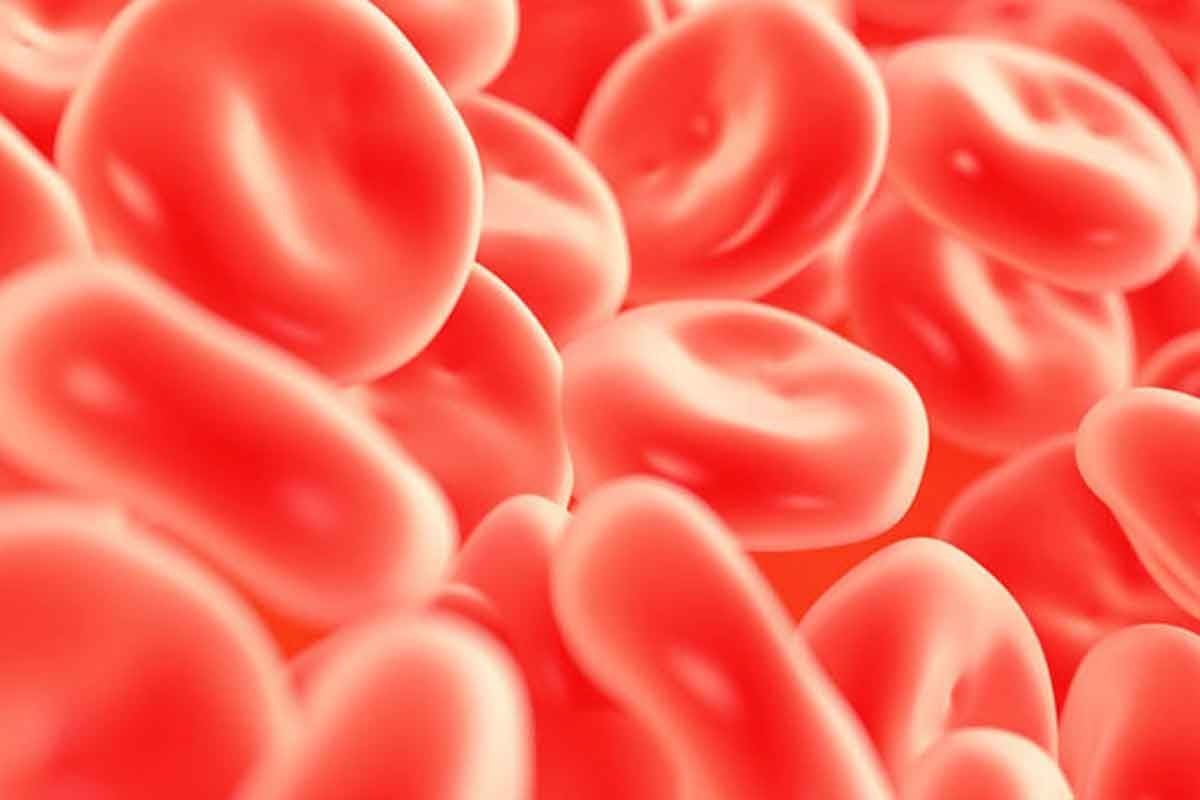 Abnormal Red Blood Cells: 7 Common Disorders and Key Symptoms