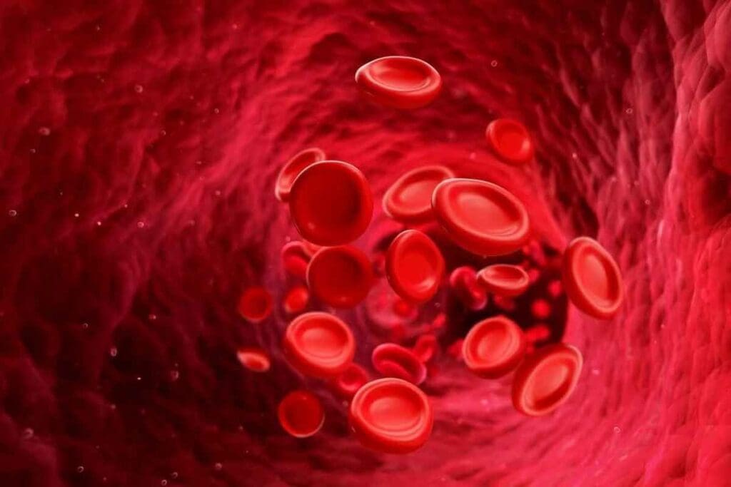 Abnormal Red Blood Cells: 7 Common Disorders and Key Symptoms
