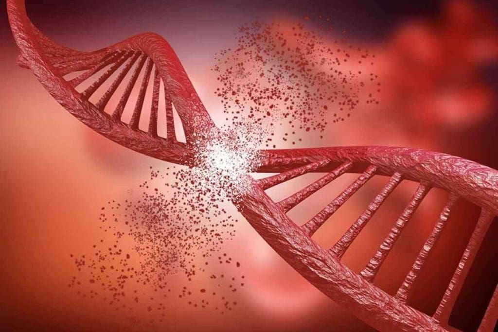 Radioactivity Effects on the Body: Top Dangers Listed