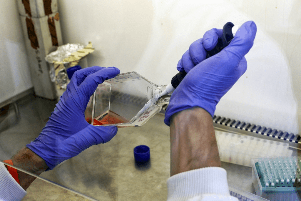 How to Test for Prostate Cancer: A Vital Guide