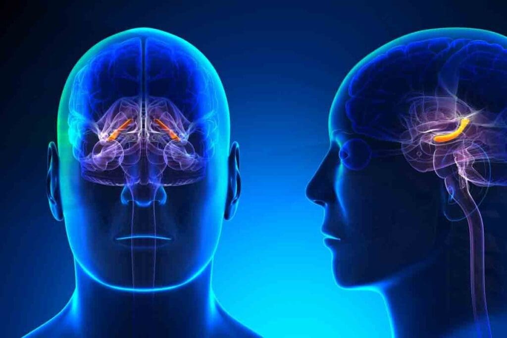 Can Anemia Cause Headaches? 5 Powerful Ways It Affects Your Brain and What You Can Do 3 image 5046 LIV Hospital