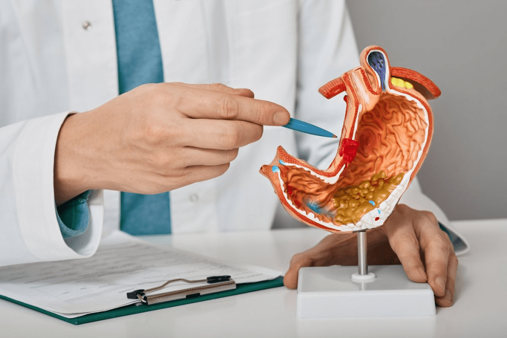 Clarifying: The Difference Between a GI Doctor and a Gastrologist
