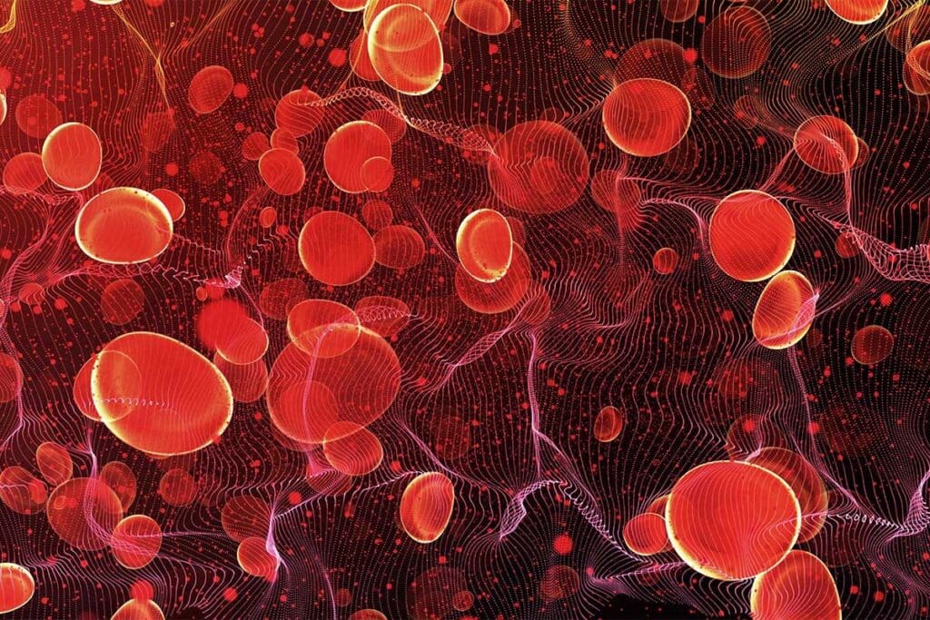 Low Red Blood Cells White Blood Cells And Platelets: Serious 7 Causes