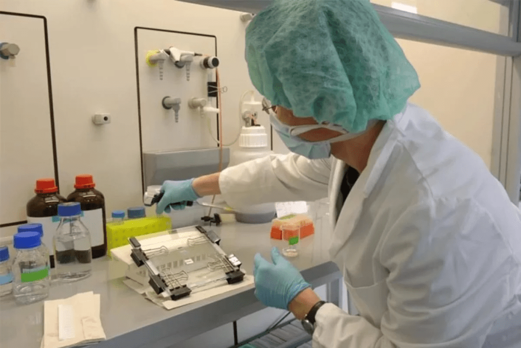 Understanding Blood Disorders: What is a Hematology Disorder?