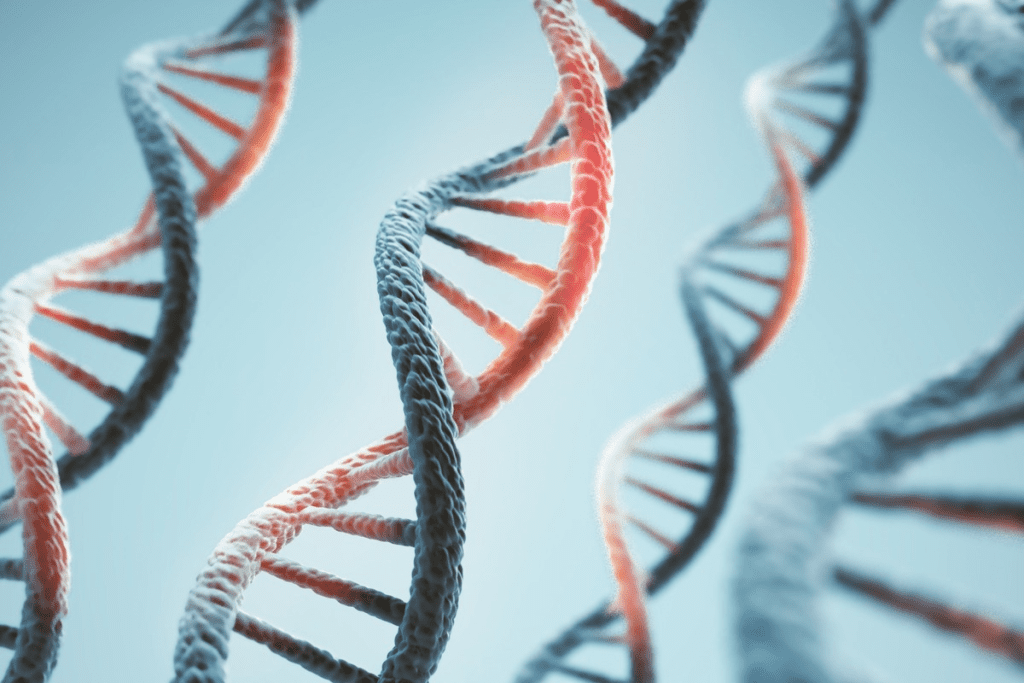 Prostate Cancer Survival Rate: New Facts