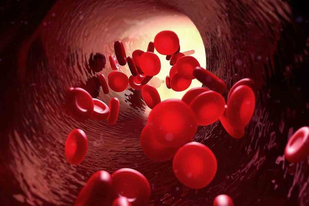 Thalassemia Carrier Symptoms and Signs 2 Thalassemia Carrier Symptoms and Signs