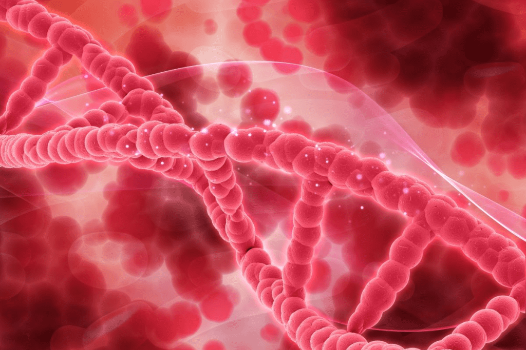 Hemophilia: The Ultimate Guide to This Disease