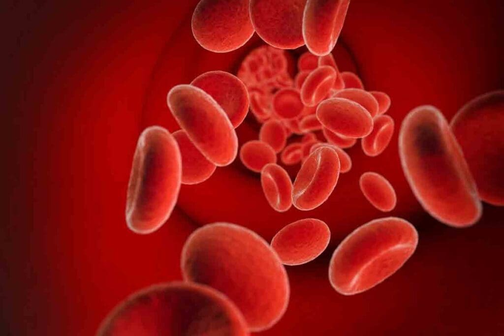Causes of Abnormal Red Blood Cells: 9 Key Facts
