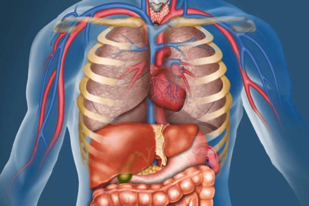Lung Damage Chemotherapy: Vital Info