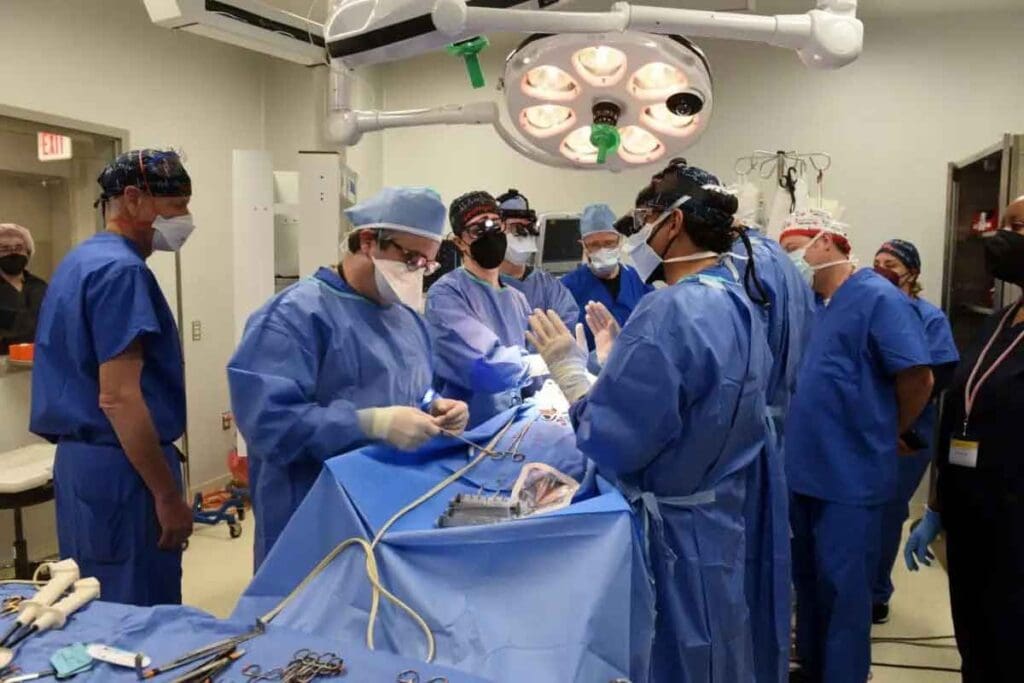 Aorta Graft Surgery: How It’s Performed