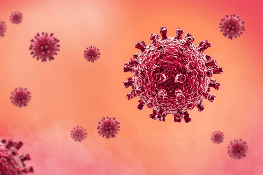 image 7124 LIV Hospital