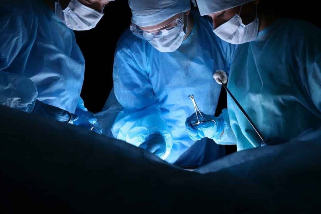 AAA Stent Graft: 7 Key Facts About Placement & Recovery