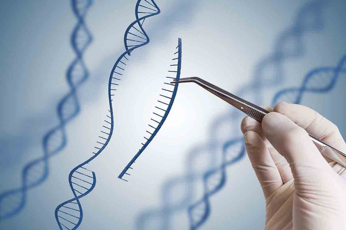 How the First Sickle Cell Gene Therapy Patient Was Cured