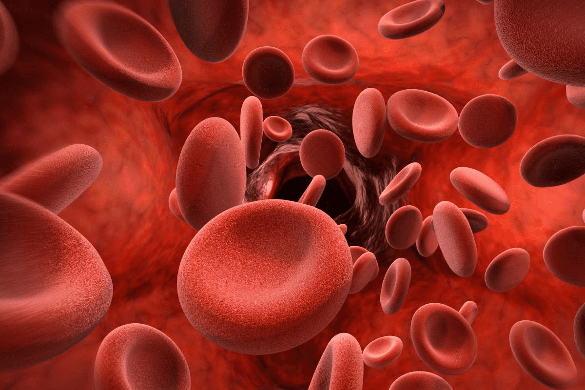 Anemia: How to Raise a Low Blood Count Powerfully