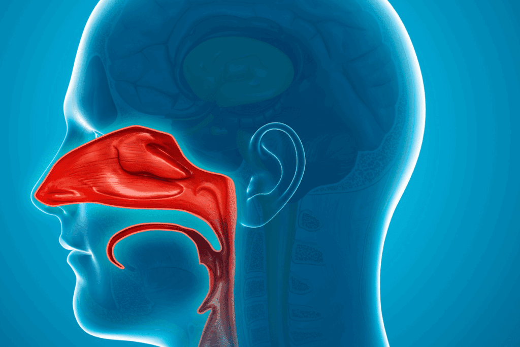 What Is a Sign of Severe Airway Obstruction? Guide 3 What Is a Sign of Severe Airway Obstruction? Guide