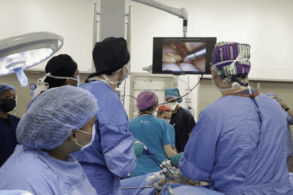 Robotic Surgical Programs: Top Hospitals Listed