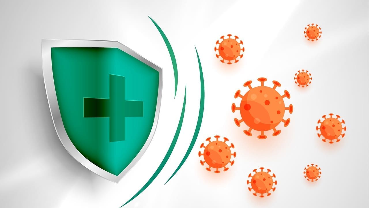 immune response to cancer