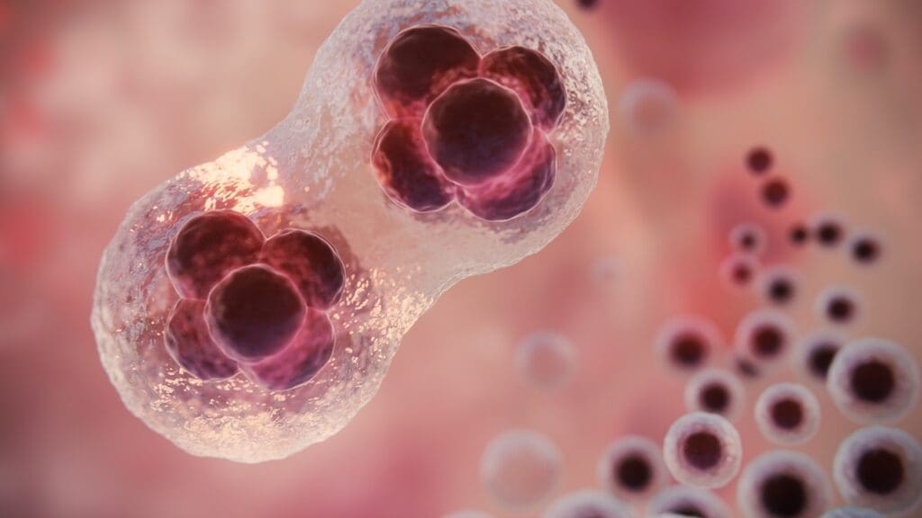 innate immune response to cancer innate immune response to cancer