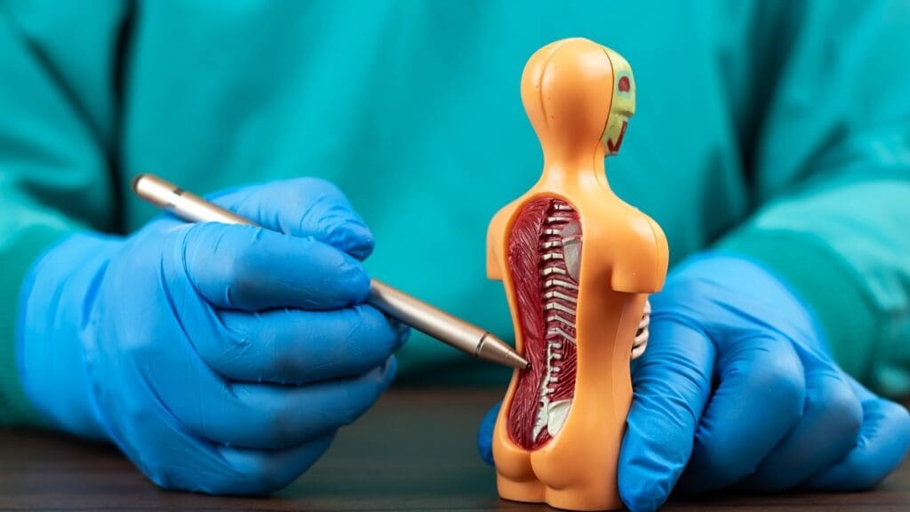 microscopic lumbar discectomy