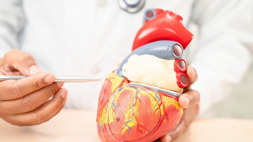 mitral and aortic valve replacement