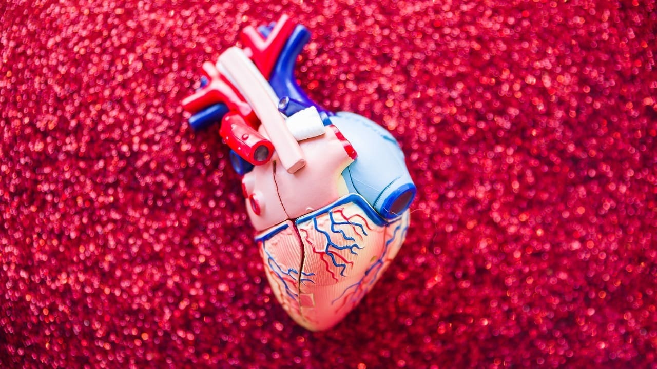 mitral valve and aortic valve replacement